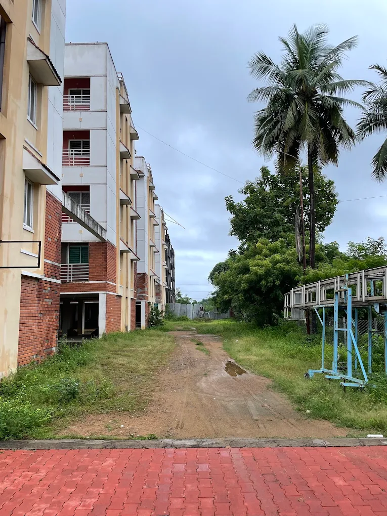 Township grounds with palm trees and greenery